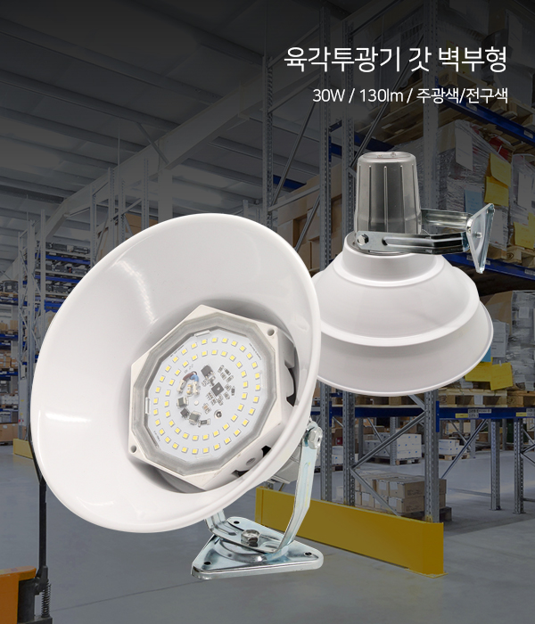 육각투광기 갓 벽부형 LED 30W[화이트]